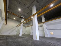 Loyang Industrial Estate (D17), Factory #498663661